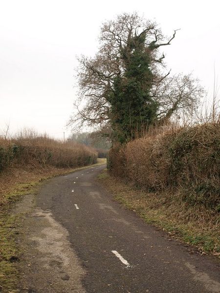 File:Old A31 - Willett Road - Geograph - 1701155.jpg