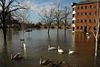 Flooded riverside, Worcester - Geograph - 315365.jpg