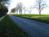 The road to Steeple Morden - Geograph - 3771975.jpg