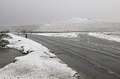 Hemsworthy Gate - Geograph - 1714234.jpg