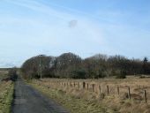 The Wood at Kilchoman Schoolhouse - Geograph - 349825.jpg