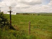 Buckland Ripers- signpost and farmland - Geograph - 1887314.jpg