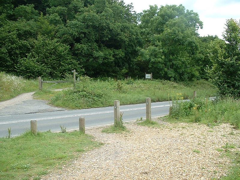 File:North Downs Way - Coppermine - 13427.jpg