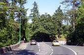 Braddan Bridge - Geograph - 24356.jpg