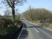 Minor road towards Black Callerton - Geograph - 4422376.jpg