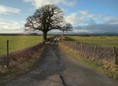 Solway Firth Unclassified.jpg