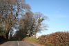 Cullompton- Forges Cross - Geograph - 95289.jpg