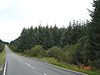 B4501 through forestry - Geograph - 53202.jpg