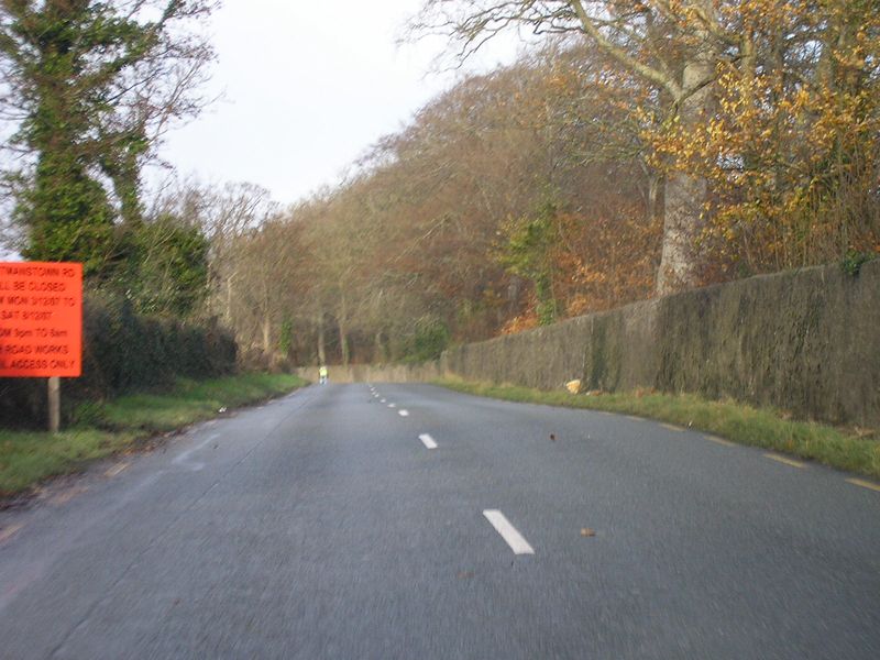 File:R121 northbound. Luttrelstown Castle boundary wall (where Posh&becks got wed like!) is on the right - Coppermine - 16109.JPG