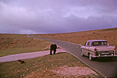 B3357 Near Two Bridges, Dartmoor, Devon taken 1964 - Geograph - 775689.jpg