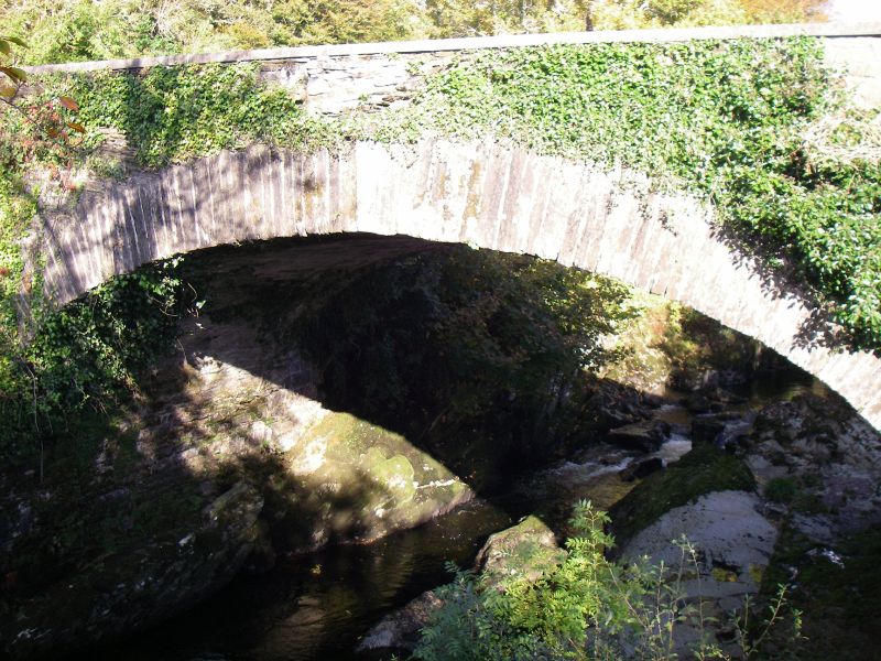 File:20161023-1527 - R584 bridge by Carriganass Castle, Kealkill, Co Cork - 51.7536743N 9.3787922W.jpg