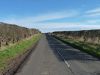 Bare hedge casts a shadow - Geograph - 5322317.jpg