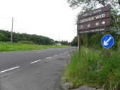 Curragh Road - Geograph - 2477564.jpg