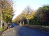 Broadway, Peterborough (C) Julian Dowse - Geograph - 82174.jpg