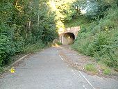 Charmouth Tunnel ex A35 - Coppermine - 14437.jpg