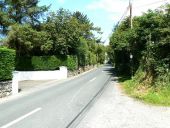 Leafy regional road - Geograph - 903352.jpg