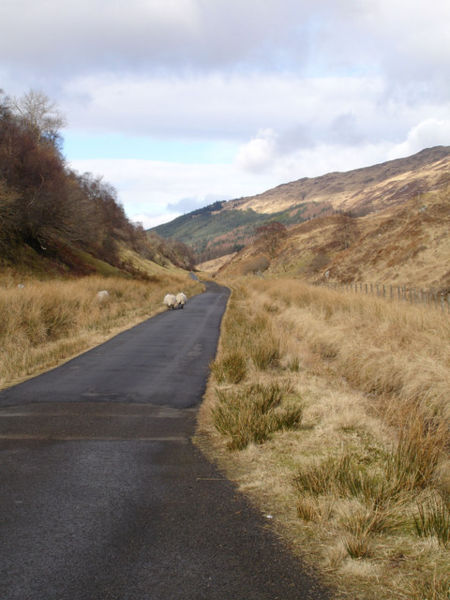 File:Glen Salach - Geograph - 132514.jpg