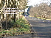 Road through forest - Geograph - 686553.jpg