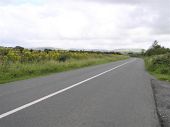 R265 at Cloghfin, County Donegal - Geograph - 213231.jpg