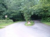 Box Hill dual carriageway - Coppermine - 13527.jpg