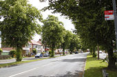 Attleborough, B4114 Highfield Road - Geograph - 879858.jpg