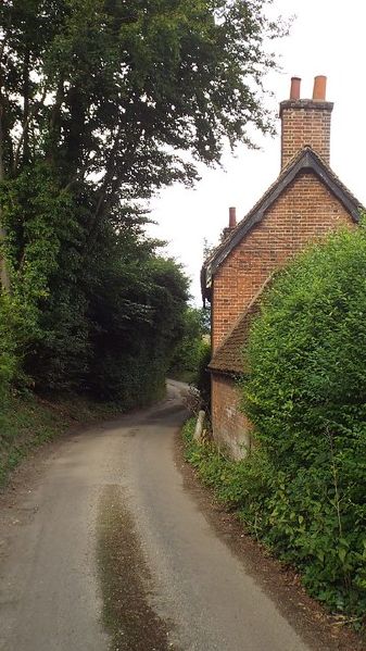 File:Narrow road near Barwick - Geograph - 3584037.jpg