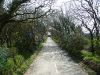 Orrisdale Road (C) Chris Gunns - Geograph - 1845761.jpg