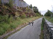 Telford's Road, Pen-y-Clip - Geograph - 233122.jpg