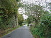 Disused Railway Bridge on the B4575 road - Geograph - 252386.jpg