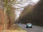 Leicester Lane A445 by Waverley Wood - Geograph - 1677262.jpg
