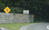 The R285, County Roscommon - Geograph - 1854209.jpg