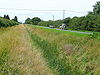 Drain on Leverington Common - Geograph - 1429036.jpg