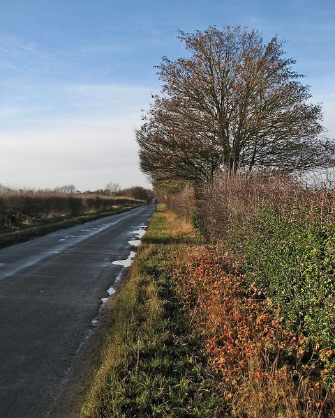 File:Between Thriplow and Fowlmere - Geograph - 5222196.jpg