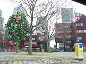 London Awayday - Traffic light tree - Coppermine - 17501.jpg